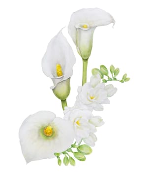 Watercolor clipart of white calla lily flowers and eucalipt. Hand drawn floral illustration for wedding invitations, floristic salons, cosmetics, beauty. Isolated composition tropical water arum for greetings, prints, posters