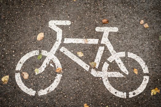 Bicycle Lane sign on asphault with yellow leaves