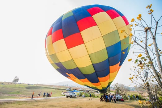 CHIANGRAI, THAILAND - February 13 : International Balloon Fiesta 2016 , February 13 2016 in Singha Park, CHIANGRAI, THAILAND