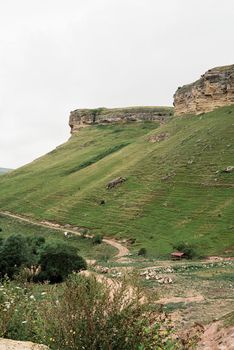 Summer nature. Beautiful green hills and mountains landscape