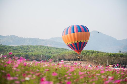 Hot air balloons floating over cosmos flowers field