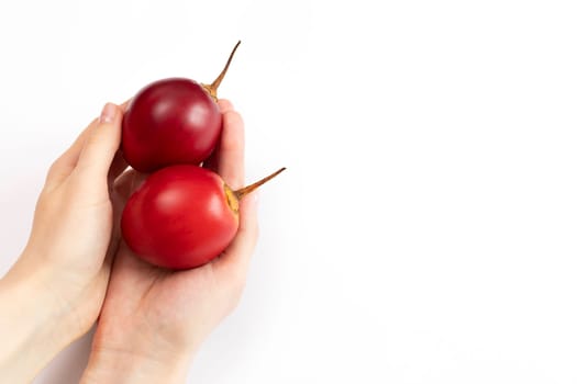 Human Hands Hold Fresh Tamarillo, Tropical Exotic Fruit On White Background. Egg-shaped Edible Fruit Or Tree Tomato, Plant Family Solanaceae. Copy Space For Text. Top View. Horizontal Plane.