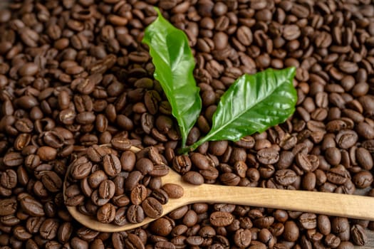 Coffee brown bean medium roasted with fresh green leaf.