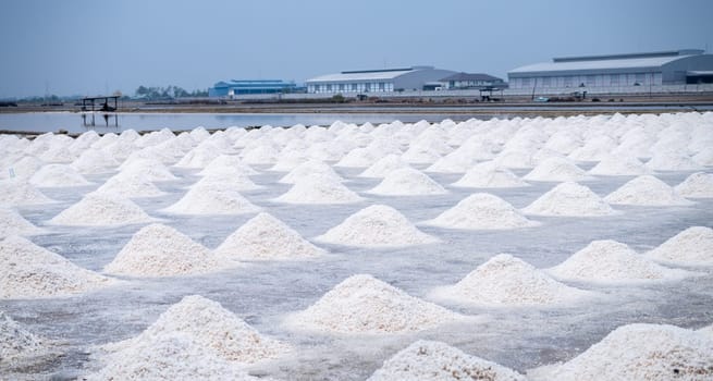 Landscape sea salt farm in Thailand. Brine salt. Raw material of salt industrial. Sodium Chloride. Evaporation and crystallization of sea water. Salt harvesting. Agriculture industry. Traditional farm
