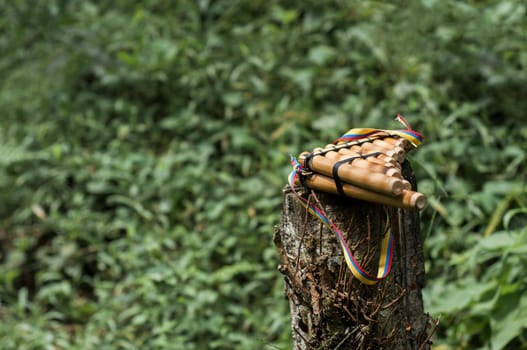 Andean flute copyspace on a log before an ancestral ceremony in Ecuador. High quality photo