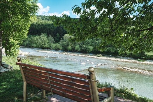 Wooden Benches on the river. Bench in the recreation park, river and forest in the background. download photo