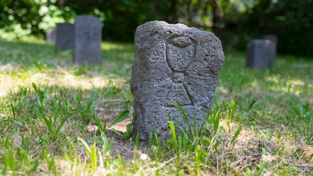 a field with boundary stones used to mark fields and pastures with numbers or symbols to recognize dog owners, usually families