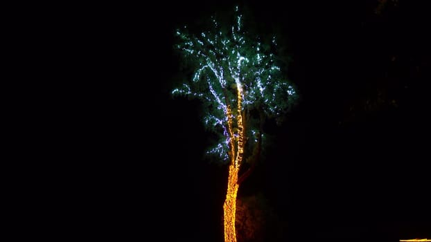 A tree in garlands glows at night. A tree near the shore decorated with light bulb decorations. 4k