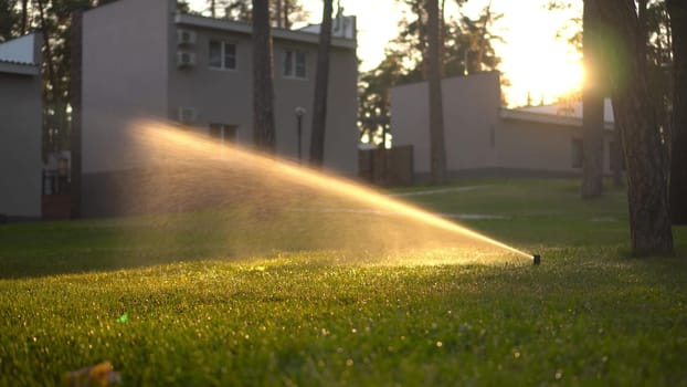 Automatic lawn sprinkler at sunset. Watering the lawn on the site. 4k