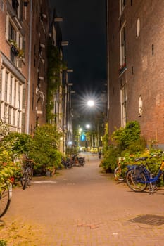 Netherlands. Summer night in Amsterdam. Several parked bicycles in a small alley. Green bushes and flowers