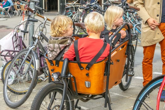 Netherlands. Three children sit in a special passenger bike basket in Amsterdam, wearing their seat belts