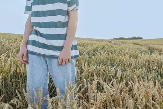 A young guy, a teenager with ears of ripe wheat in a farmer's field, against a blue sky. Grain for making bread. the concept of economic crisis and hunger