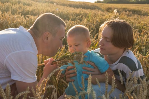 A family with a dad, a teenager and a small child are walking carefree and fun in a field with wheat. It's time to harvest. The food crisis in the world. A field for harvesting bread.