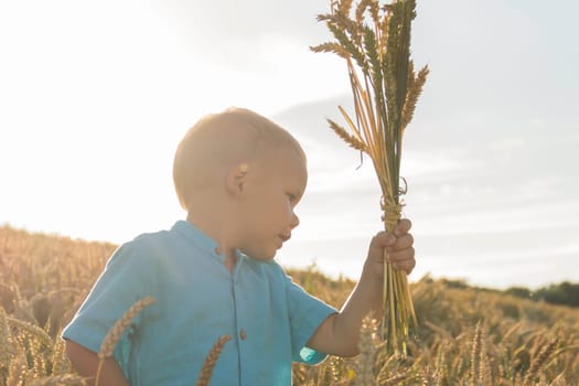 A small, bald boy in a blue shirt is walking and having fun in a field with a grain crop, wheat. Grain for making bread. the concept of economic crisis and hunger