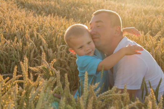 Dad hugs and kisses his little son tightly and merrily walks through the field with ripe wheat. Grain for baking bread. the concept of the love of children and parents and their relationship