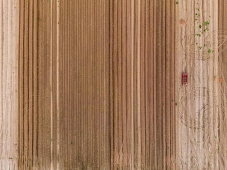 Onions and an onion or on an onion field as an aerial view from a great height