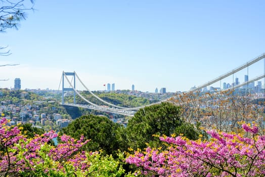 View of Istanbul from Otagtepe with Fatih Bridge. Travel Istanbul background photo.