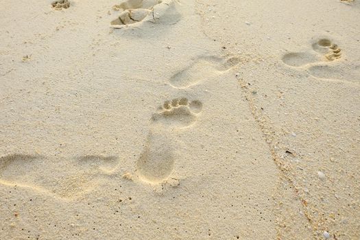 Footprints in wet sand close to sea in sunny day