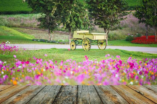 wood floor on carriage on green grass at sunrise