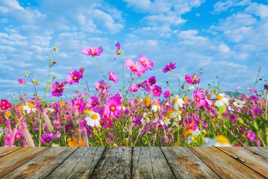 wood floor on The Cosmos Flower of grassland