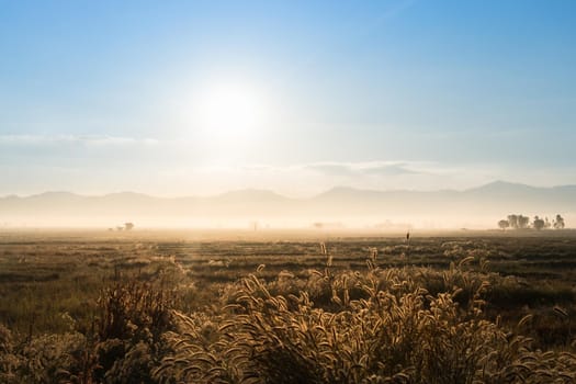 sunrise on field mountain