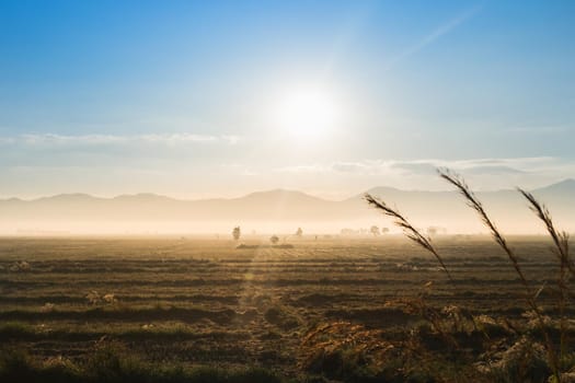 sunrise on field mountain