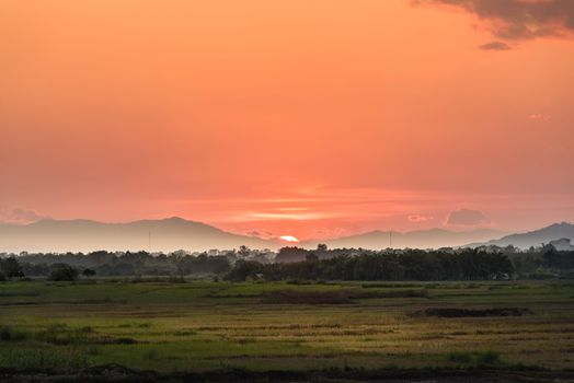 Sunset Paddy Field