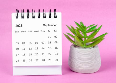 September 2023 Monthly desk calendar for 2023 year with plant pot on pink background.