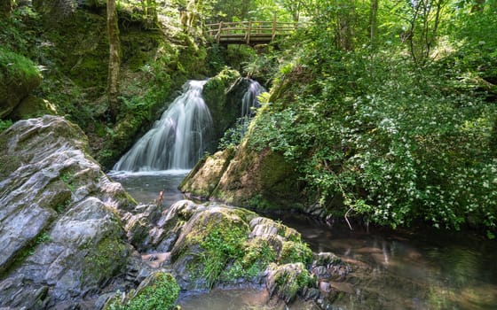 Panoramic image of a small creek cascading through a mystic valley, Eifel area, Rhineland-Palatinate, Germany