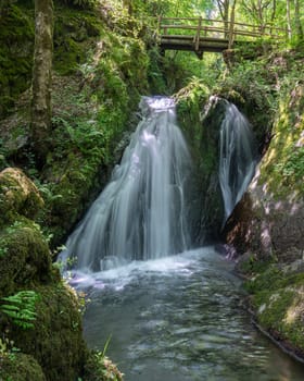 Panoramic image of a small creek cascading through a mystic valley, Eifel area, Rhineland-Palatinate, Germany