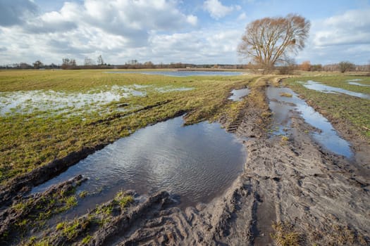 Puddles on a dirt road and meadow, a tree and clouds on the sky, eastern Poland