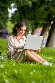Smiling woman using laptop typing text answering messages chatting online looking computer screen social media app working. Girl sitting on grass in urban city park holding phone in hands. Vertical