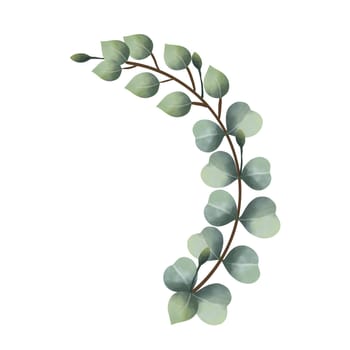 watercolor eucalyptus vines on a white background
Isolated