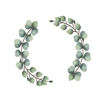 watercolor eucalyptus vines on a white background
Isolated