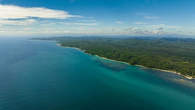 Aerial drone of coastline with jungle and rainforest. Borneo. Sabah, Malaysia.