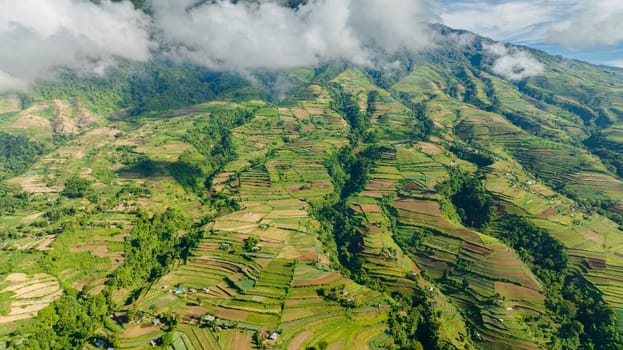 Top view of farmland and rice terraces on the slopes of the Canlaon volcano. Negros, Philippines