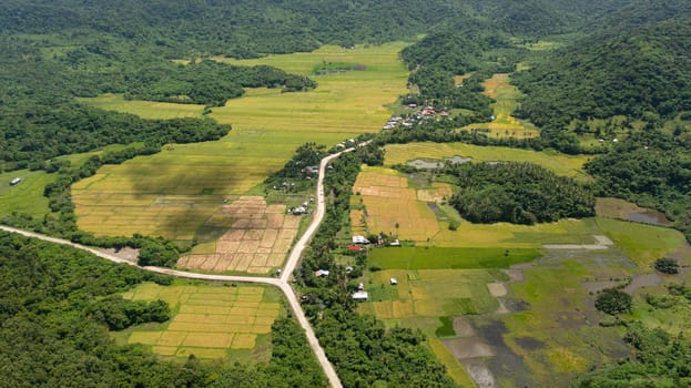 Agricultural land and rice fields in the countryside. Philippines.