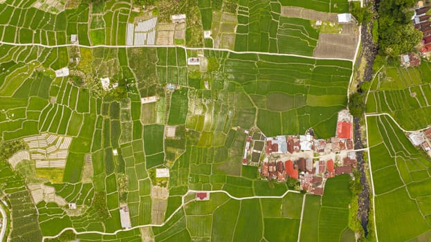 Agricultural landscape in Sumatra, Indonesia.
