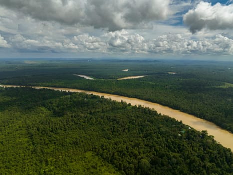 Kinabatangan river among the rainforest and jungle. Borneo, Malaysia.