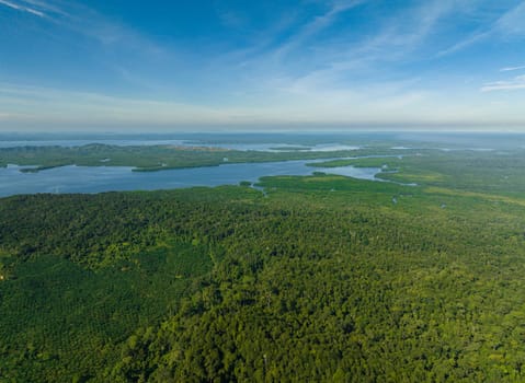 Aerial view of from the sea on the coast of the island of Borneo with tropical vegetation. Sabah, Malaysia.