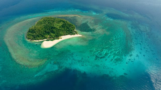Tropical island in the blue sea with atoll and the beach. Agutaya island, Philippines.