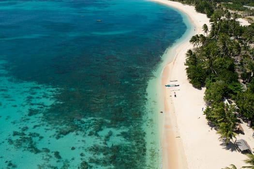 Aerial view of sandy beach with palm trees and sea surf with waves. Pagudpud, Ilocos Norte Philippines