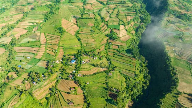 Aerial view of agriculture and farmland in a mountainous area near the Canlaon volcano. Negros, Philippines