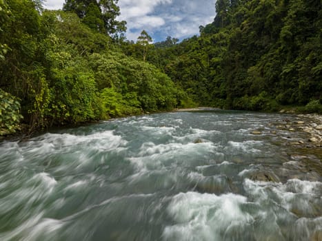River in the rainforest. Jungle in Sumatra. Bukit Lawang. Indonesia.