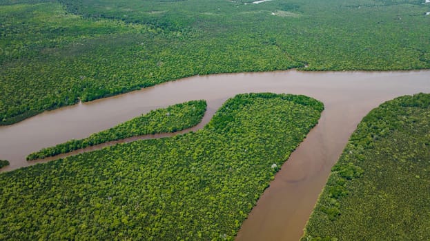 Top view of wetlands with mangroves and swamps. Menumbok forest reserve. Borneo, Sabah, Malaysia.