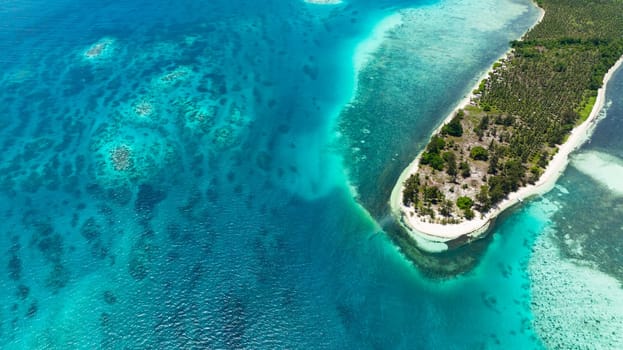 Top view of tropical island with beach and palm trees. Canabungan Island, Balabac, Palawan. Philippines.