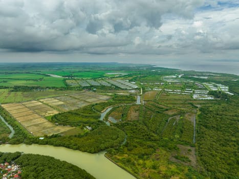 Houses of farmers among farmland and agricultural land. Negros, Philippines