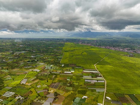 Top view of tea estates and farmland in Sumatra. Tea plantations. Kayu Aro, Indonesia.