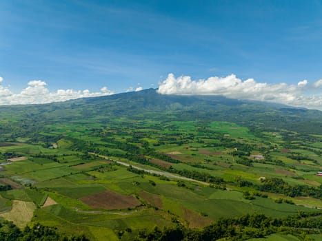 Aerial drone of farmland with sown green fields in countryside. Negros, Philippines
