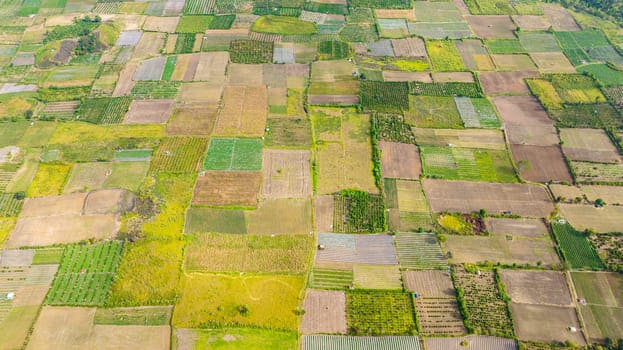 Farmland in the countryside. Agricultural landscape in Sumatra. Berastagi, Indonesia.